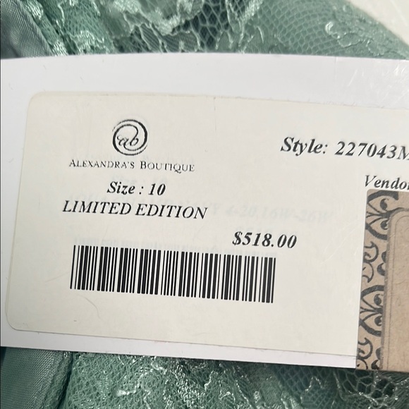 Elegant Green Lace Evening Gown, Mother of Bride or Mother of Groom NWT - Picture 5 of 6